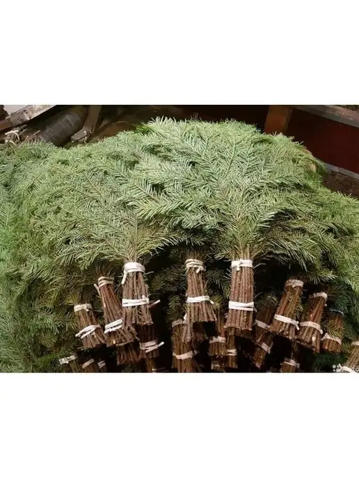 Мега-медиа Веники Пихтовые Свежие для бани и сауны 2 шт, 2 шт, фото 3