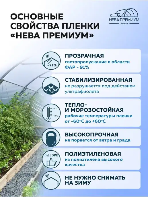 Светлица Пленка многолетняя Нева Премиум 150мкм 6*1м, 6x1 м, фото 2
