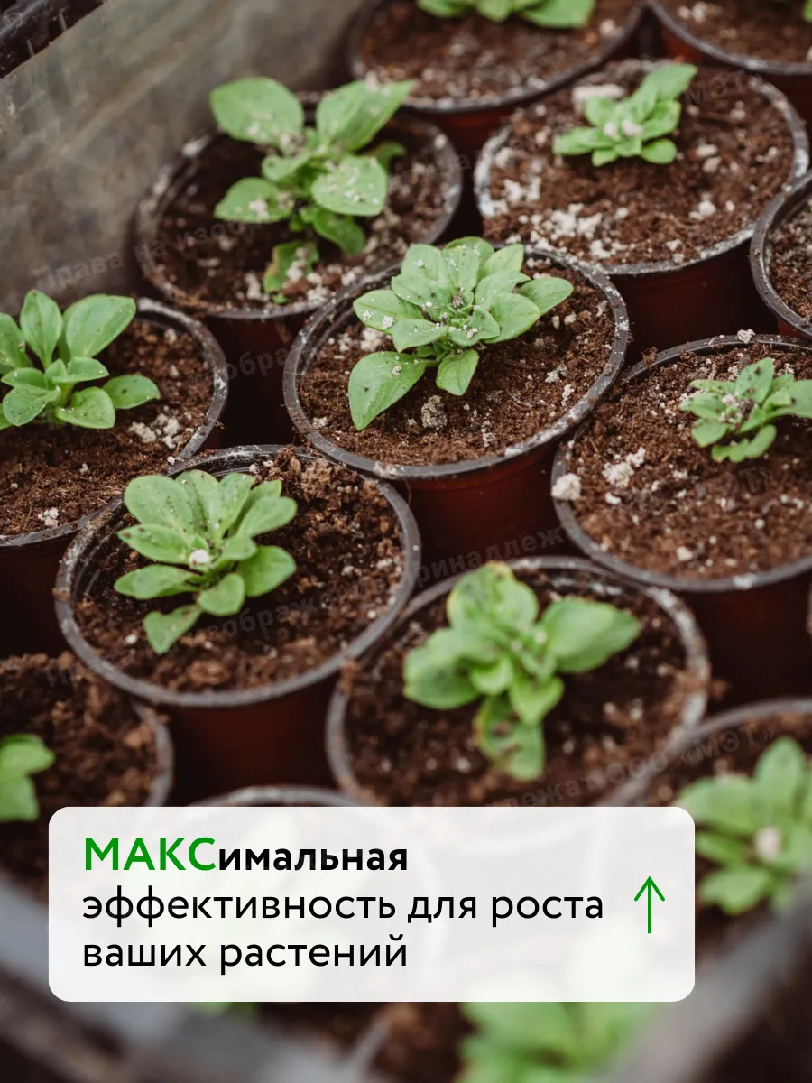 Удобрение для растений, биостимулятор Текамин Макс 0,25 л — фото 6