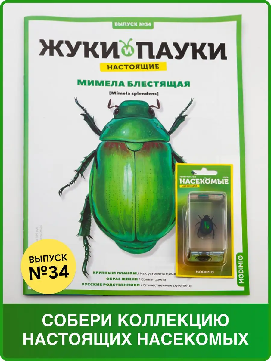 Жуки и пауки, Выпуск №34, Мимела блестящая MODIMIO 71708582 купить за 477 ₽  в интернет-магазине Wildberries