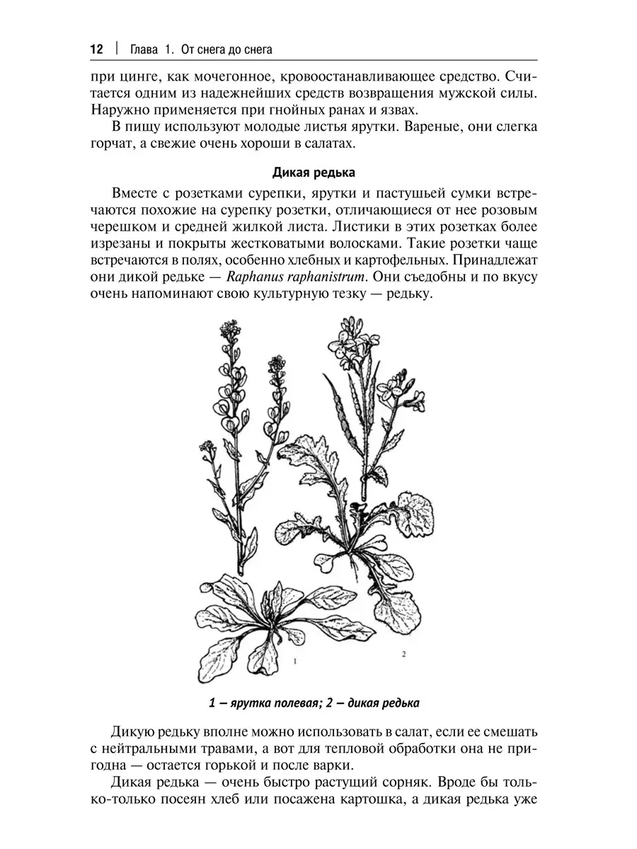 Сообщество «Полевая кухня в СПБ и ЛО / Аренда / Заказать» ВКонтакте — доставка еды, Санкт-Петербург