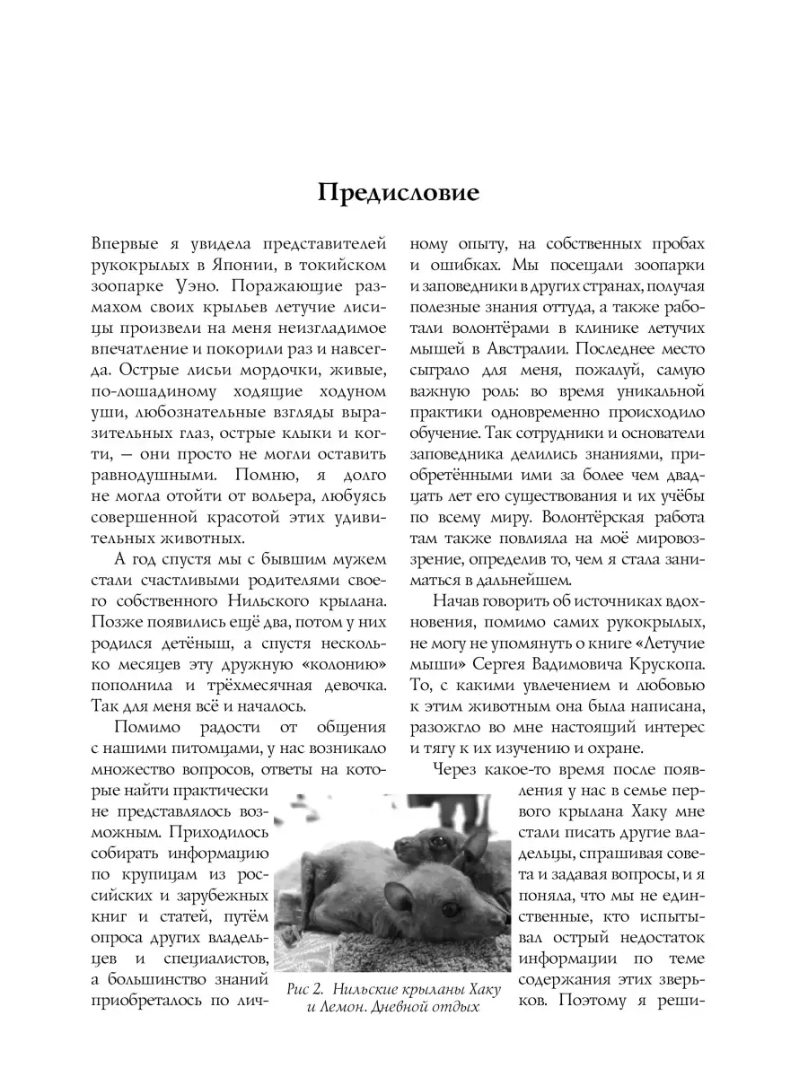 Ямагучи А. Летучие мыши и крыланы. Спасение и содержание. Руководство по  содержанию КДУ 71799228 купить за 764 ₽ в интернет-магазине Wildberries