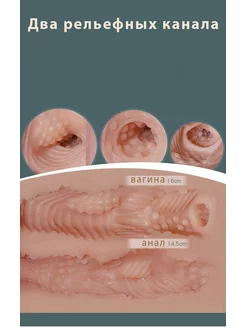 Шахзода голи суреті Қыздардың нәзік кеуделері