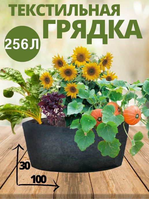 МАДОУ «Детский сад № 49» «Дом Белоснежки» г. Краснокамск. Проект «Цветники на участке»