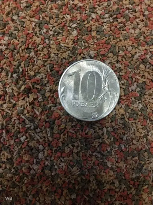Terpa Lux Сухой корм для рыбок аквариумных тонущие гранулы 100 г, 100 г, фото 5
