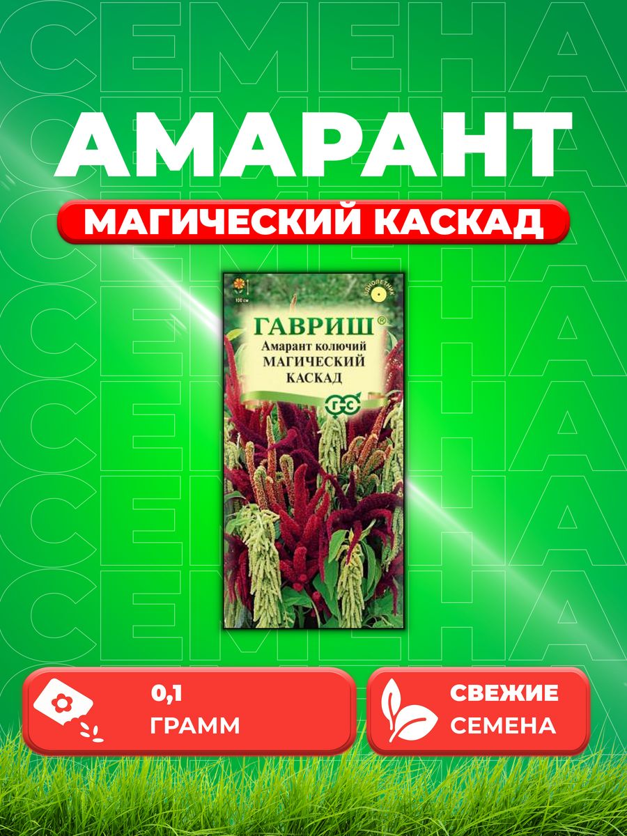 Амарант магический. Амарант колючий магический Каскад. Амарант магический Каскад смесь. Гавриш Амарант цветок. Однолетний цветок Амарант семена.