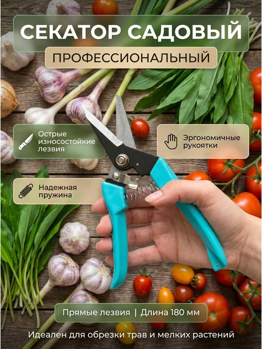 EIRENA Секатор с прямыми лезвиями, голубой