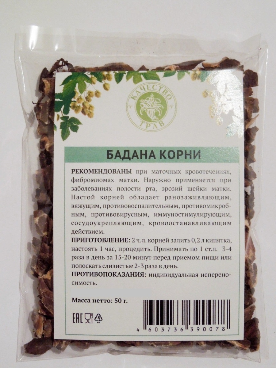 Бадан свойства применение. Корневище бадана толстолистного препараты. Бадан корневище. Корни бадана толстолистного. Бадан корень.