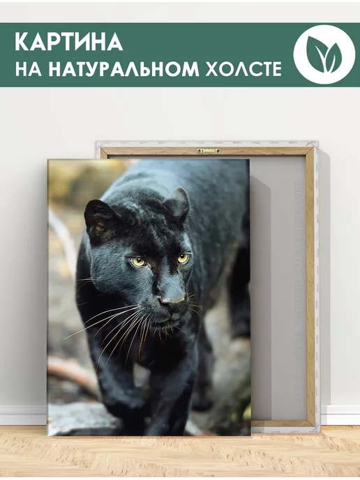 FIX CANVAS Картина на холсте black puma, чёрная пума 20х30