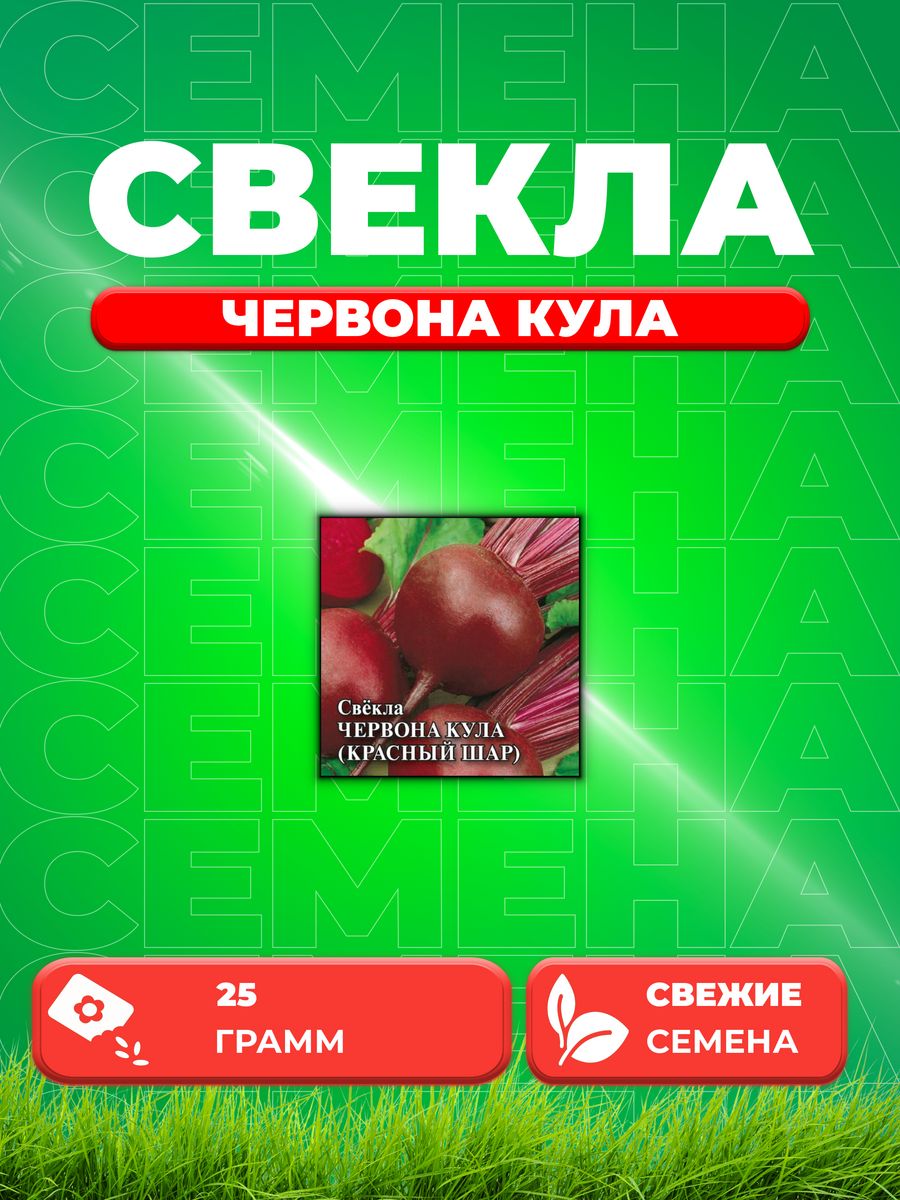 Красная свекла отзывы. Семена. Свекла "Червона кула". Свекла Червона кула красный шар. Красный шар сорт свеклы. Свекла Багровый шар.