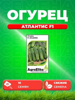 Огурец Атлантис F1, 10шт, AgroElita, Bejo АгроЭлита 71970459 купить за 190 ₽ в интернет-магазине Wildberries