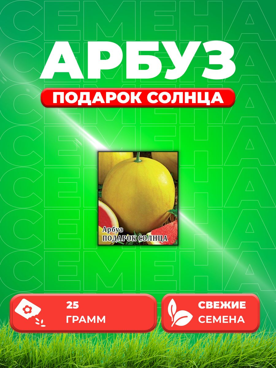 Арбуз подарок солнца. Гавриш Арбуз подарок солнца. Сорт арбуза подарок солнца. Арбуз подарок солнца 5 шт. Желтый Арбуз — подарок солнца.