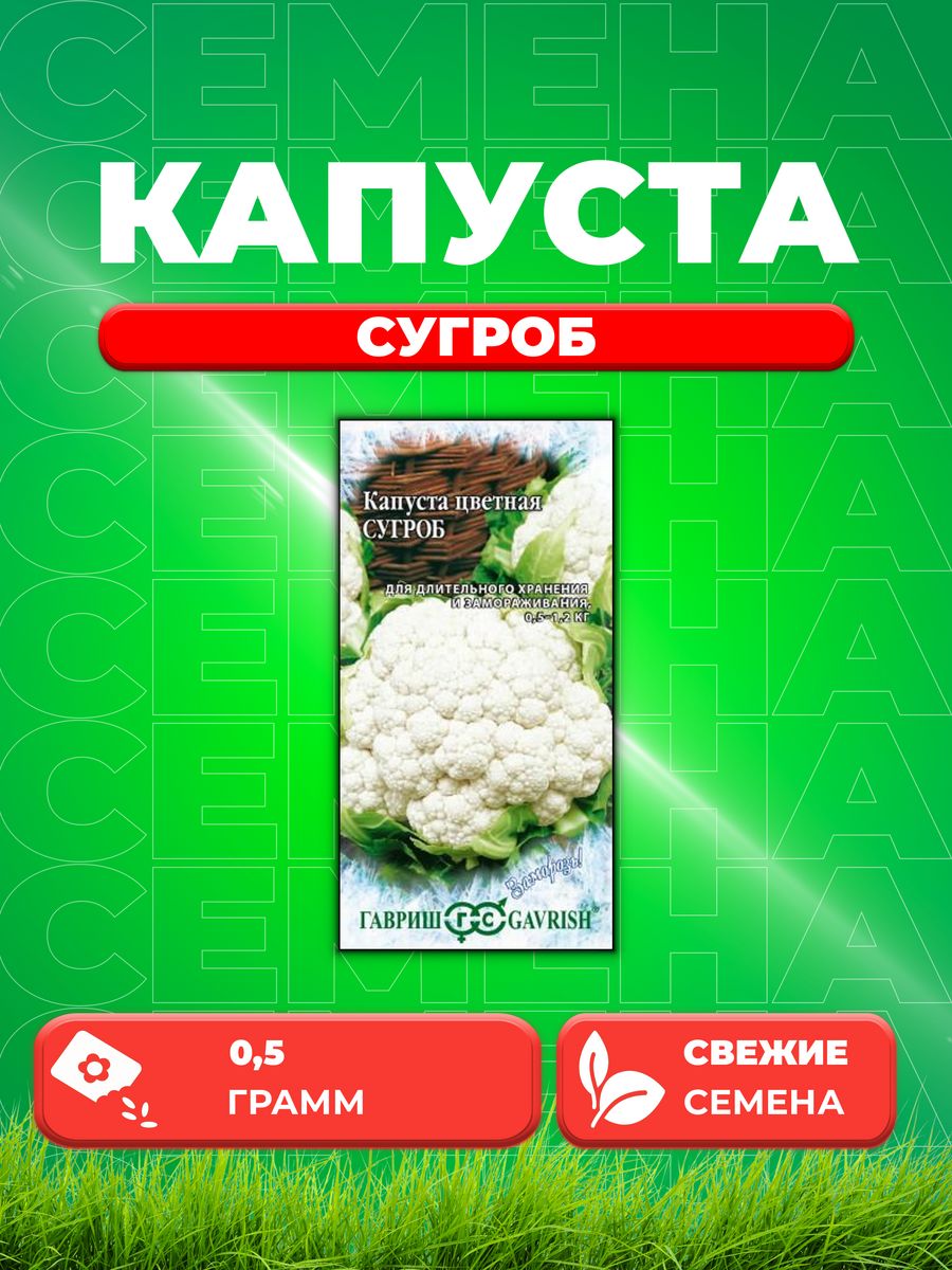 Капуста цветная сугроб