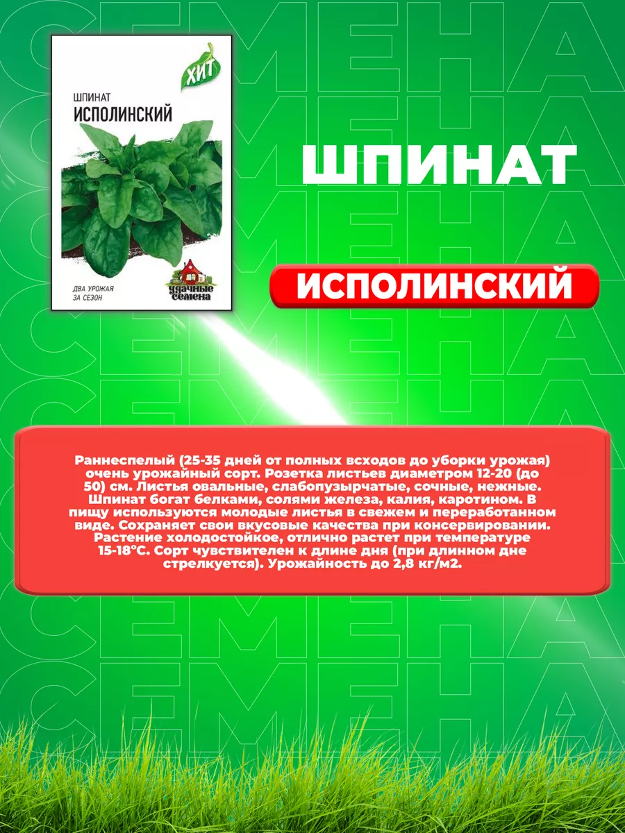 Шпинат Исполинский 2 г ХИТ х3 Удачные семена 71983572 купить за 203 ₽ в  интернет-магазине Wildberries