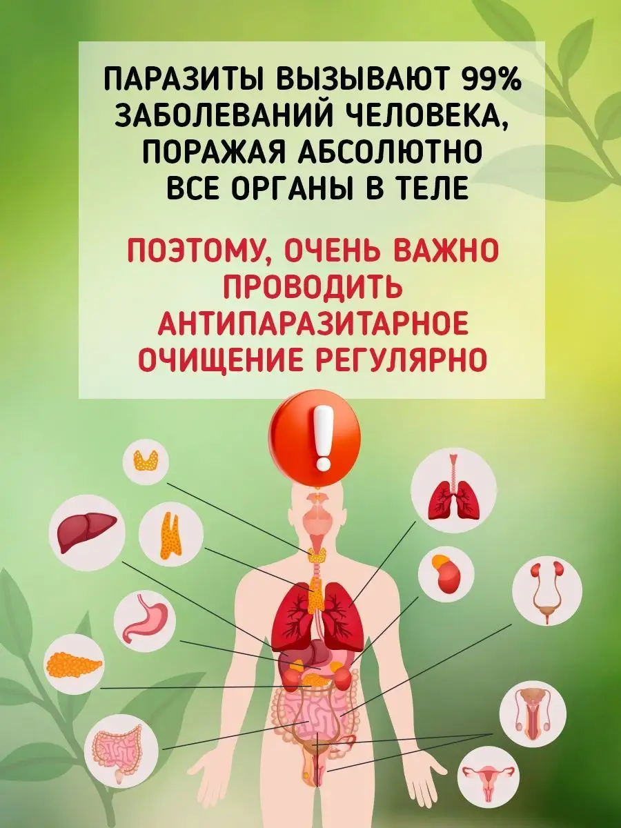 Дегельминтик, антипаразитарный комплекс Фабрика Натуральных Продуктов  71995339 купить в интернет-магазине Wildberries